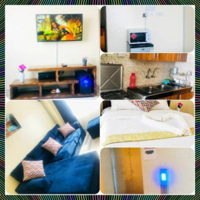 Lovely 1 Br fully furnished apartment 2